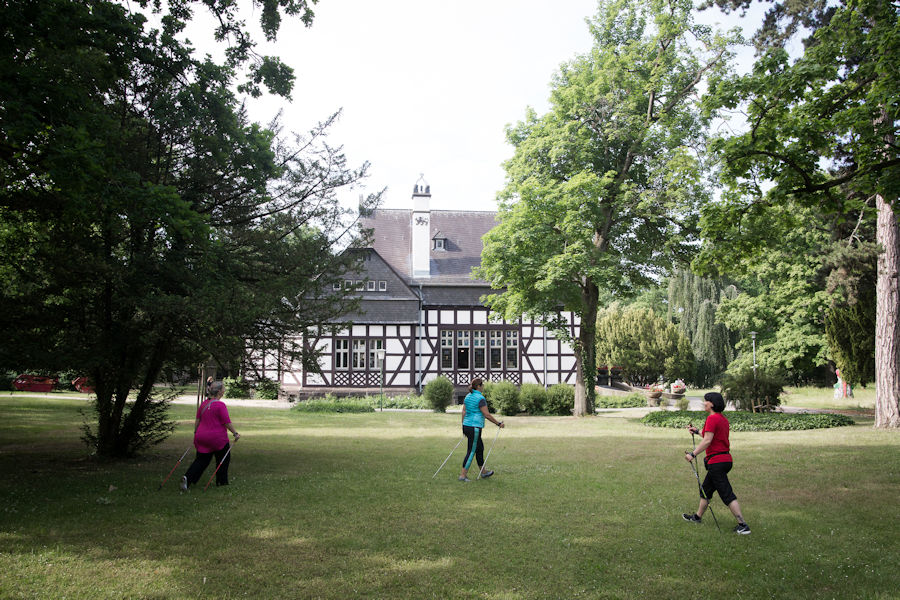 Drei Frauen beim Nording Walking im Park Drei Frauen beim Nording Walking im Park